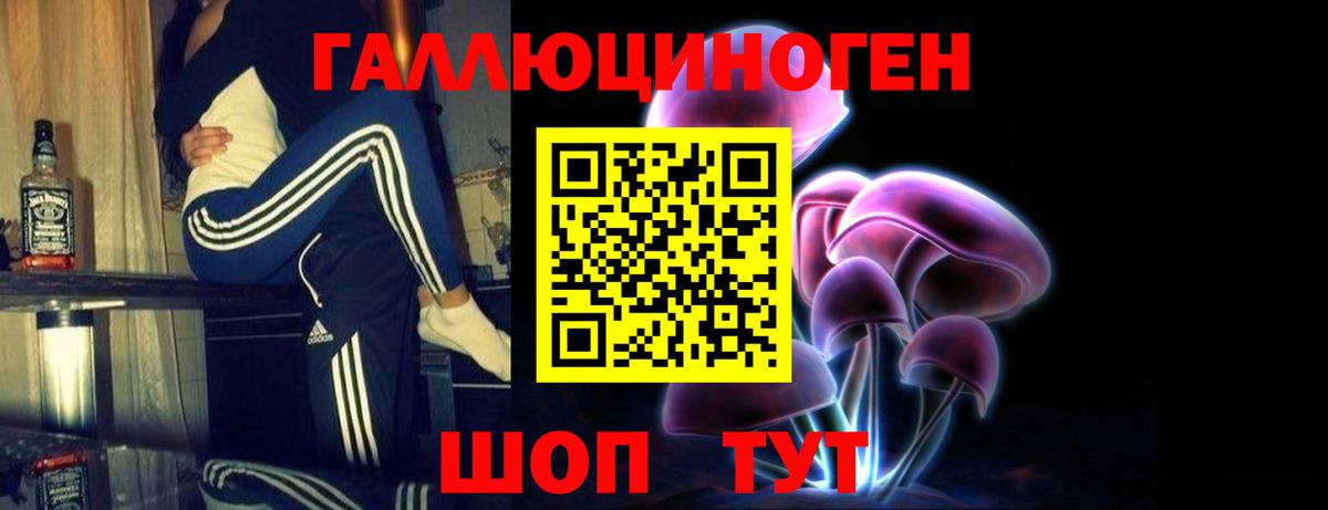Псилоцибиновые грибы ЛСД Дальнереченск